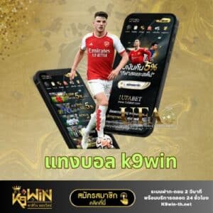 football-k9win
